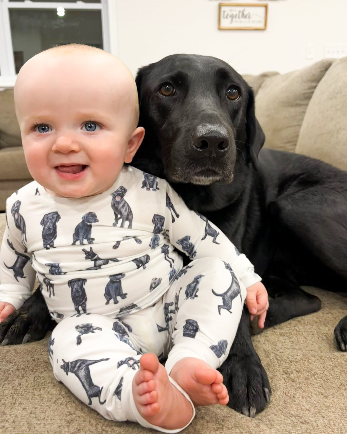 Black lab pjs sale