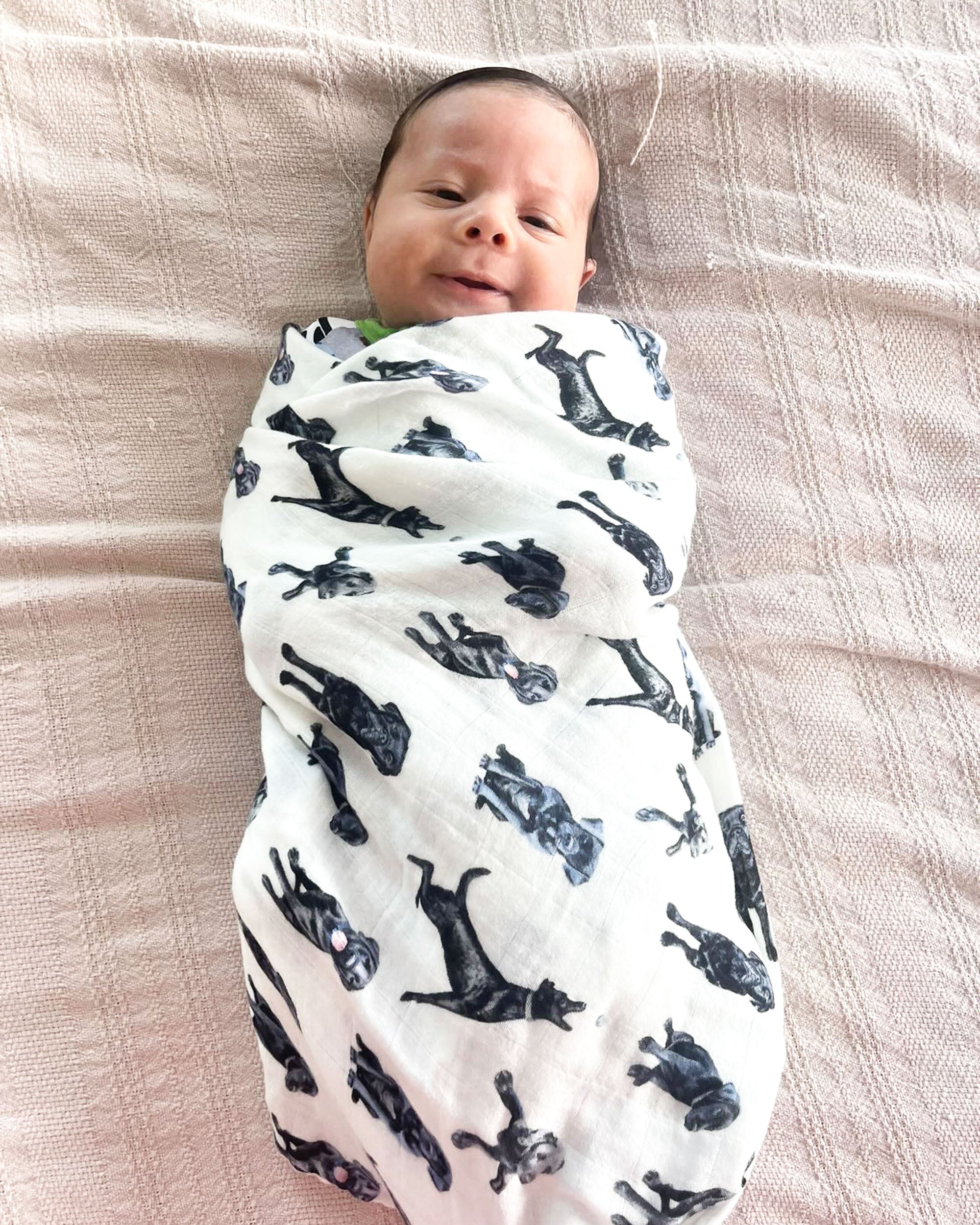 Cozy Black Labs Print Swaddle Soft Organic Cotton Bamboo Blend Saltwater Swaddles