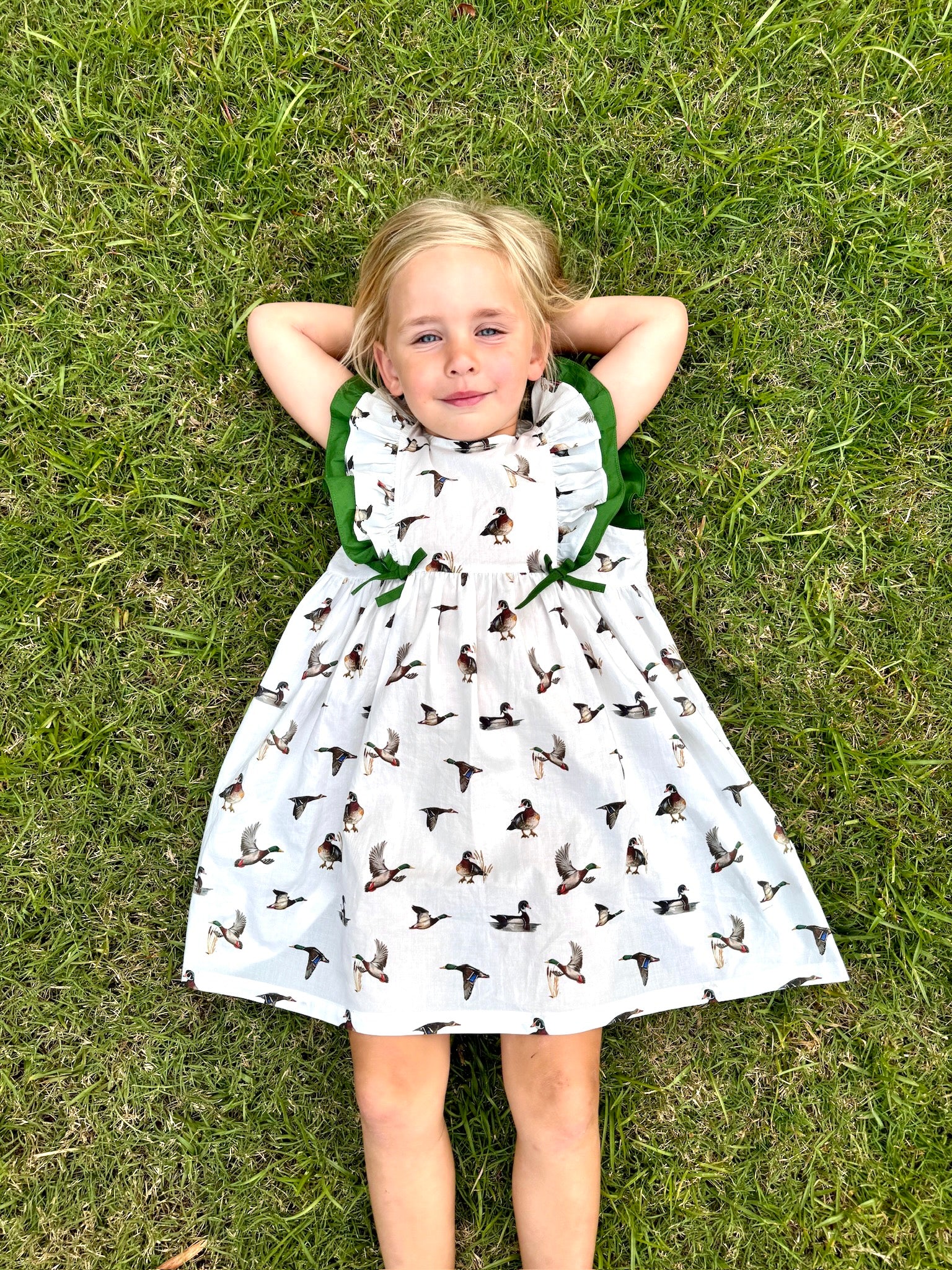 Diving Ducks - Flutter Sleeve Dress