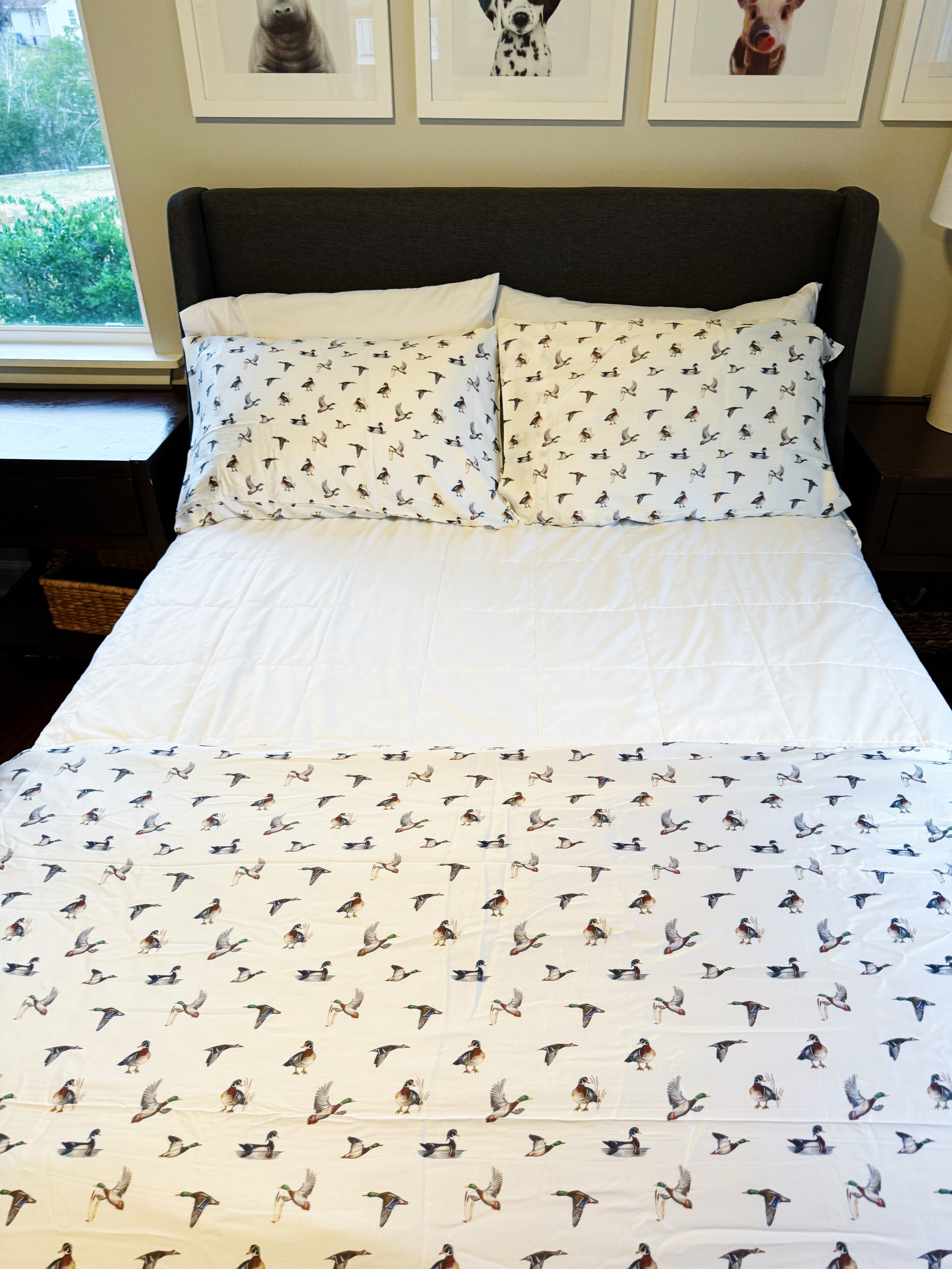 Diving Ducks - Nature-inspired duck duvet cover in a cozy bedroom