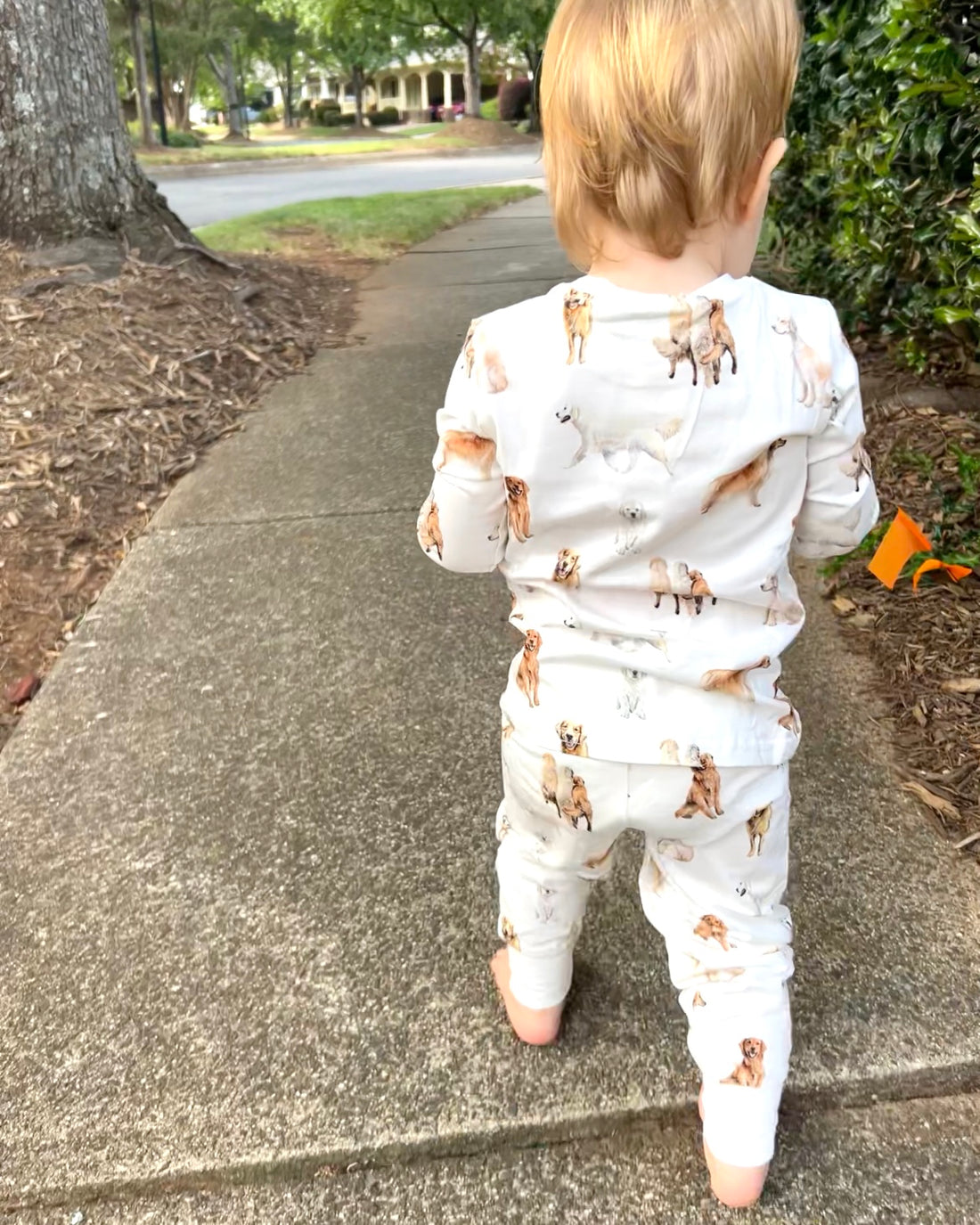 Golden Retriever print kids pajamas in soft cotton for sleepwear and loungewear, and with soft waistband and cuffs