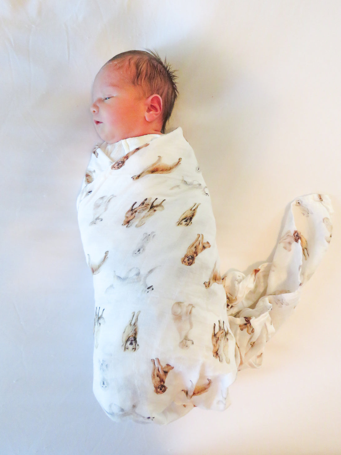 Golden Retriever print baby swaddle in organic cotton and bamboo blend