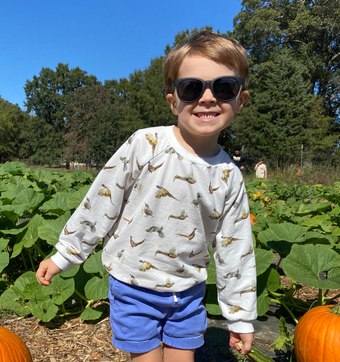 Soft Organic Cotton Kids Drop Sleeve Sweatshirt with Pheasant and Quail Print
