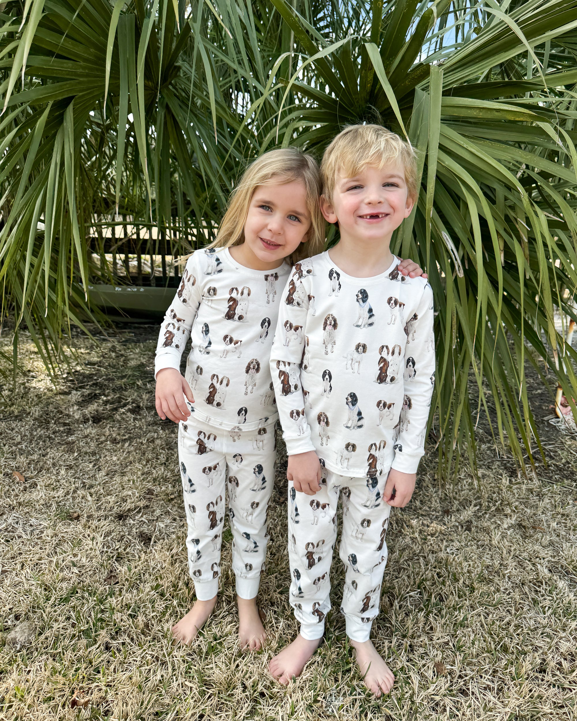 Springer Spaniel Pajamas